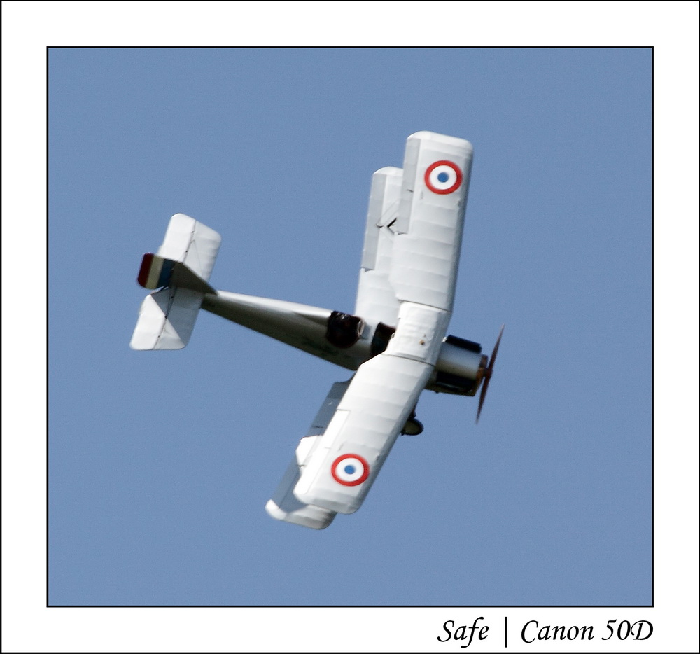 2010   05   Ferte Alais   163